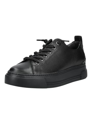 Paul Green Sneaker in Schwarz