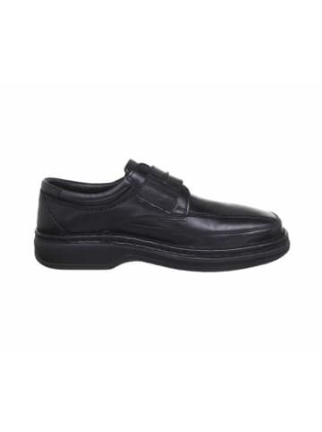 ara Slipper für Herren in schwarz