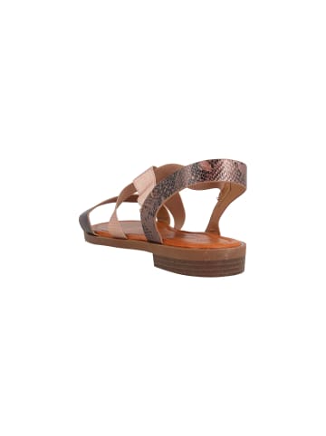 Fitters Sandalen in Rose