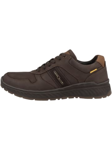 Camel Active Sneaker low 54WOA02 in dunkelbraun