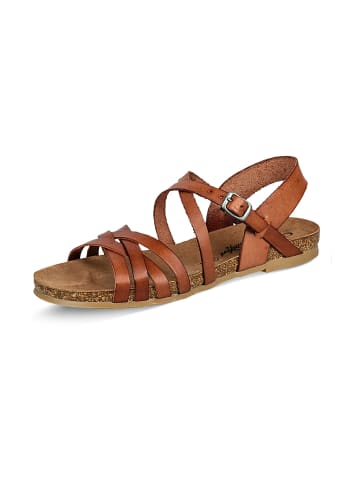 Cosmos Comfort Sandalen in Braun