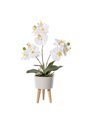 Creativ green Deko-Orchidee in Keramikschale 10x6,5cm, Real Touch