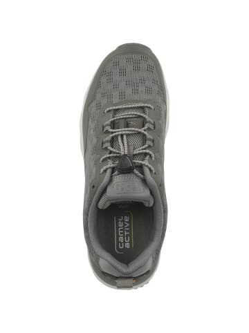 Camel Active Sneaker low 54CCA21 in grau