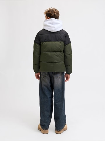 JACK & JONES Junior Steppjacke in Rosin