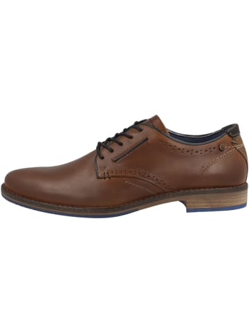 Bullboxer Businessschuhe 773K25263B in braun