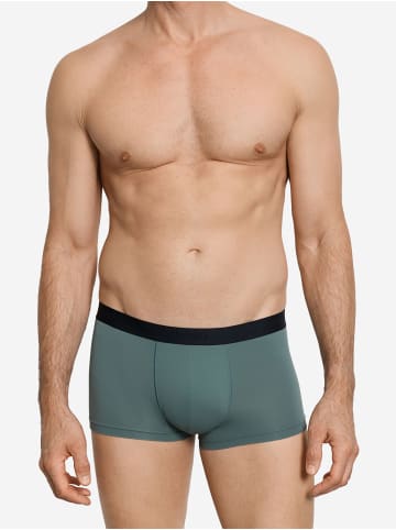 Hanro Retro Pants Micro Touch in studio green