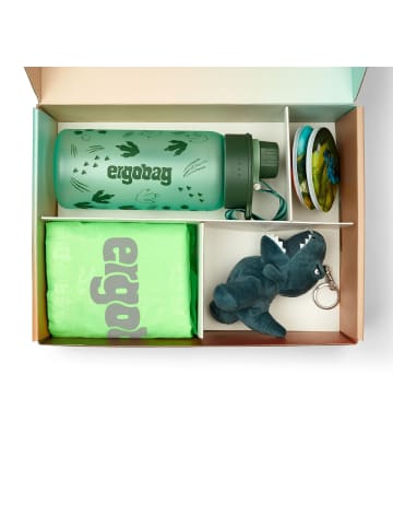 Ergobag Zubehör Geschenkbox 5 tlg in Dinosaurier