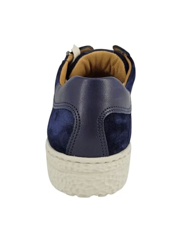 Hartjes Sportliche Schnürschuhe in Blau