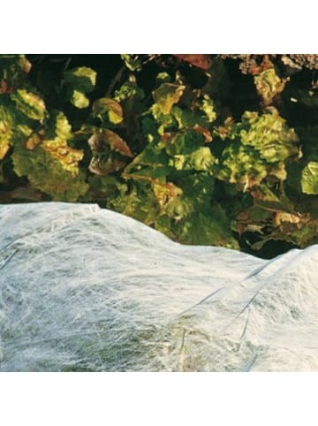 XClou Garden Wintervlies in Weiß 1,5 x 5 m – Schutz vor Frost, Wind & Schnee in Weiß