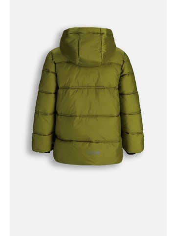 Coccodrillo Gesteppte Winterjacke in olivgrün
