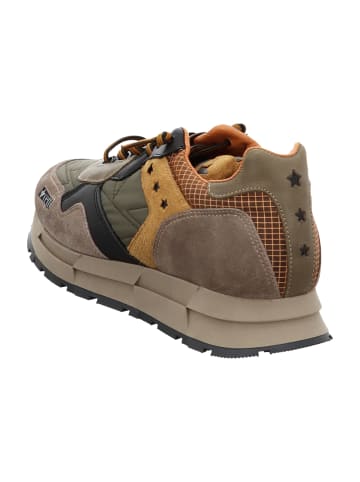 Cetti Sportliche Schnürschuhe in Oliv