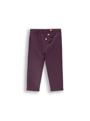 Coccodrillo Jogginghose in violett