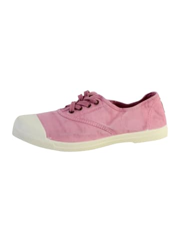 natural world Schnürschuhe INGLES ELASTICO ENZIMATICO 102E Rose