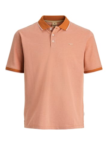JACK & JONES PLUS Poloshirt in Amber Brown