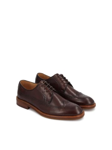 Kazar Schnürschuhe in Braun