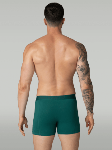 Muchachomalo 7er-Set: Boxershort in Mehrfarbig - für Herren