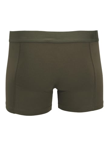 Aprel 10er-pack Trunks in Black