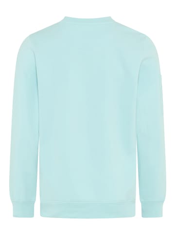 Kangaroos Sweatshirt in Aqua