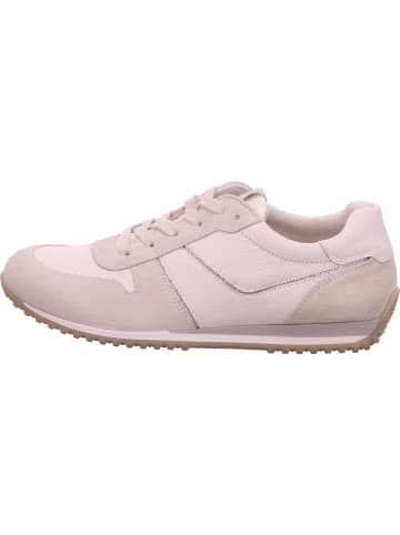 Paul Green Sneaker in grau