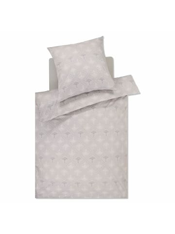 JOOP! Cornflower Charm 4117 09 in Stone