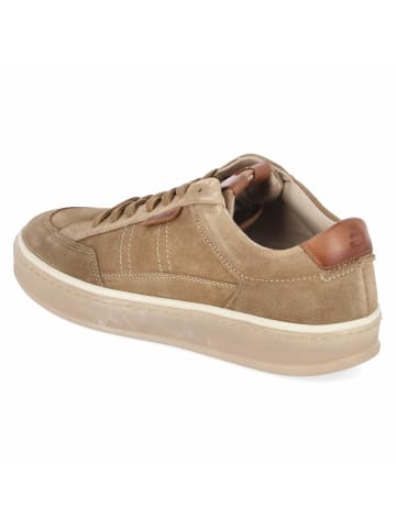 Bullboxer Sneaker in beige