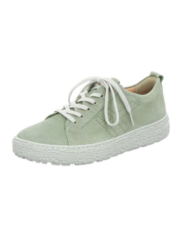 Hartjes Sneaker in grün
