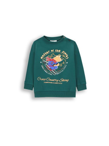 Coccodrillo T-Shirt mit langen Ärmeln in grün