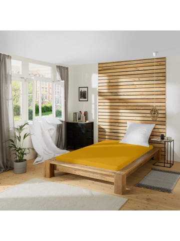 REDBEST Single-Jersey Spannbettlaken Pittsburgh in gold