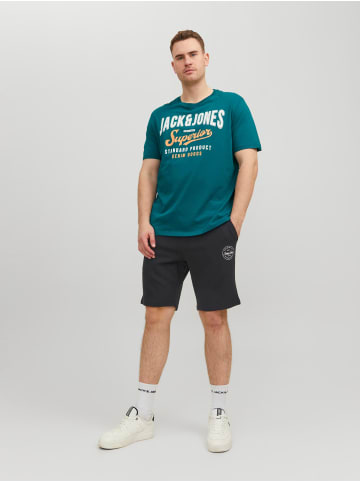 Jack & Jones Sweat Shorts Plus Size Kurze Jogger JPSTSHARK in Schwarz