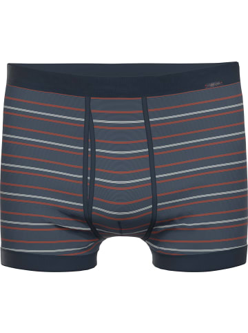 Ammann Baumwolle, Feinripp Bio Schlüpfer in marine