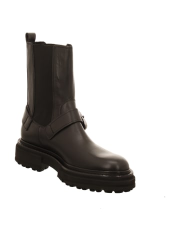 Kennel & Schmenger Stiefeletten in schwarz