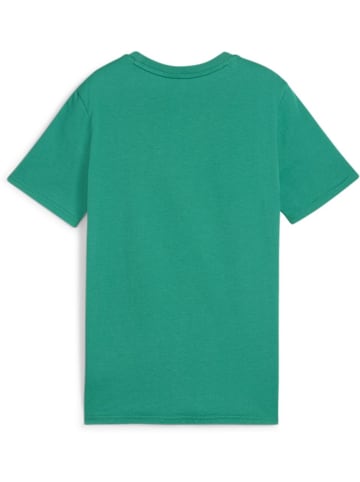 Puma T-Shirt "TeamGoal CasuaLongsleeve Tee Jr" in Grün