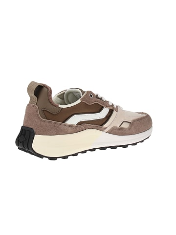 British Knights Sneaker low Veli in Mehrfarbig