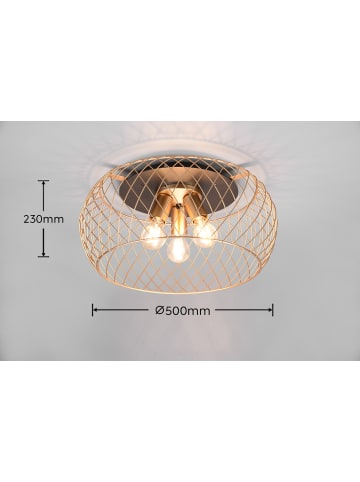 Trio Leuchten Deckenleuchte TAMIL in schwarz matt / messing matt