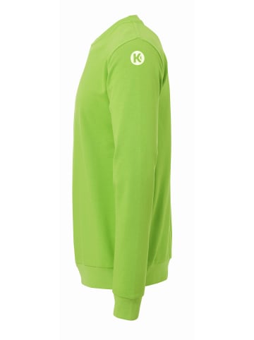 Kempa Sweatshirt TRAINING TOP in hope grün