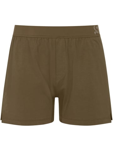 Sloggi Boxer Shorts in BEECH