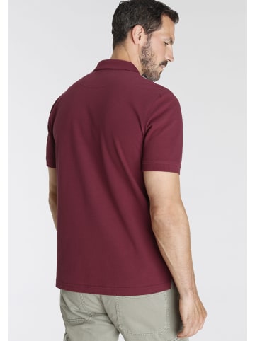 Man's World Poloshirt in weinrot