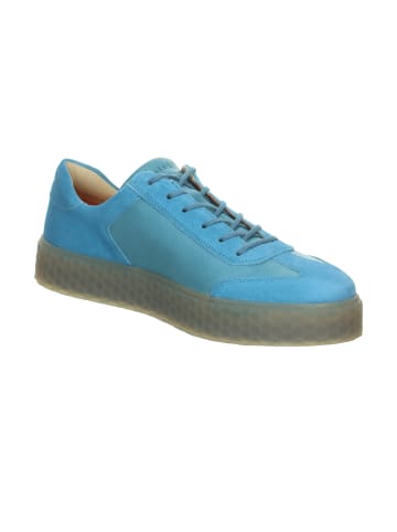 Think! Sneakers Low HONEY in Azuro/Kombi