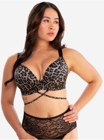 SugarShape BH VOILA in leogrey