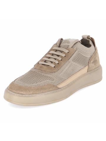Bullboxer Sneaker in beige