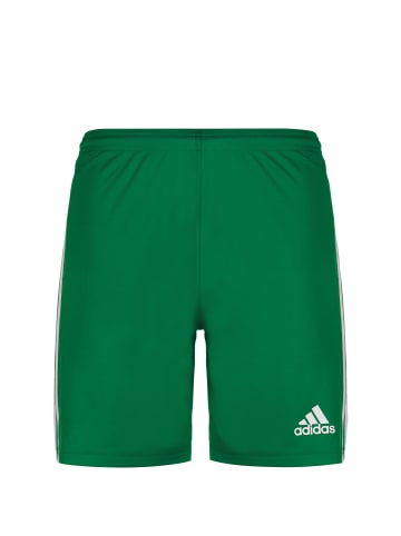 adidas Performance Trainingsshorts Squadra 21 in grün / weiß