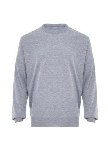 sloan Pullover in Hellgrau Melange