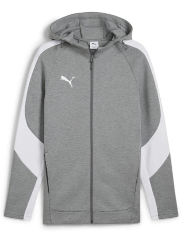Puma Jacke "TeamEVOSTRIPE Hooded Jacket" in Grau