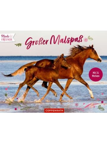 Coppenrath Buch - Großer Malspaß für Pferdefreunde