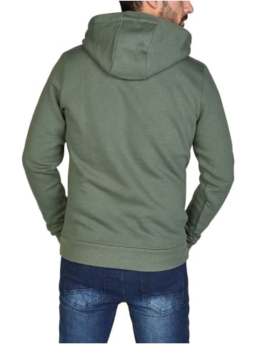 DENIMFY Pullover DFArno in Grün