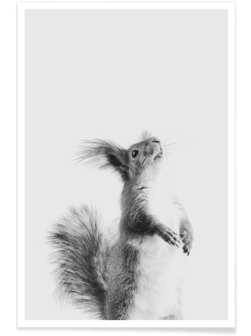 Juniqe Poster "Red Squirrel III" in Grau