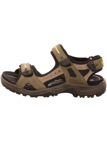 Ecco Outdoorsandalen für Herren in braun