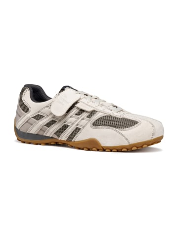Geox Sportliche Schnürschuhe in Beige