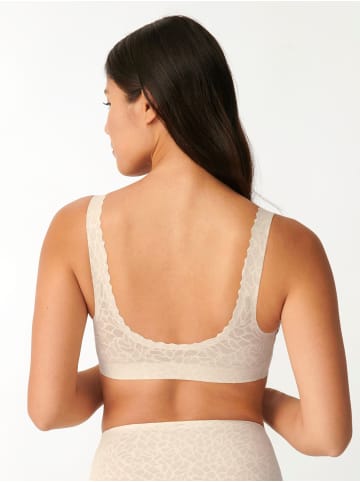 Sloggi Bralette Zero Feel Lace 2.0 in ANGORA