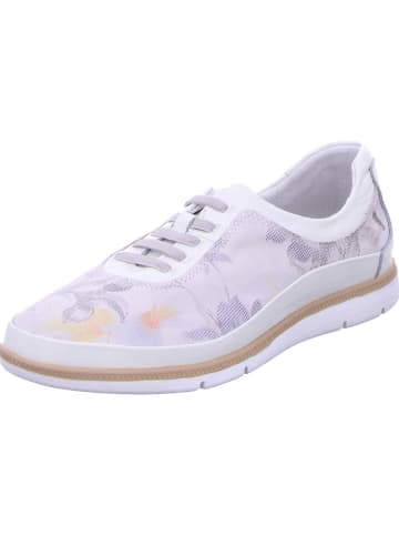 Diverse  Halbschuhe in grau